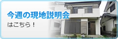 今週の現地販売会はこちら!