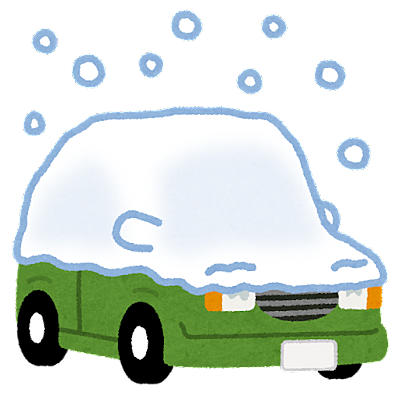 今年最後の雪の華・・・と願う。